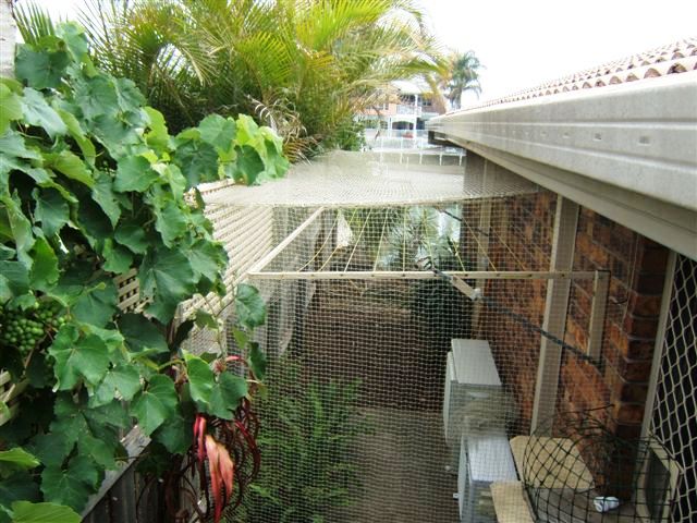 Overhead View of  $410.00 side cat enclosure showing how we have used the area for both the clothes drying line and also for the pussycats.