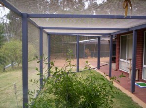 cat enclosure - alli bateson