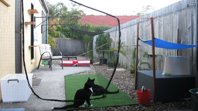 cat fence netting